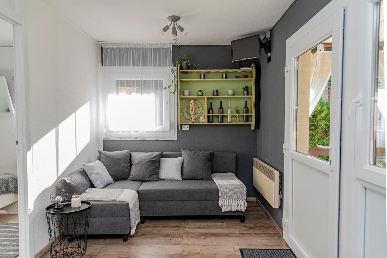 Amica Vendeghaz Villa ซาลาคาโรส ภายนอก รูปภาพ